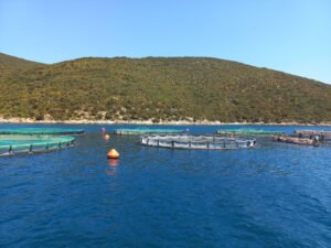 Mante Fish Farms