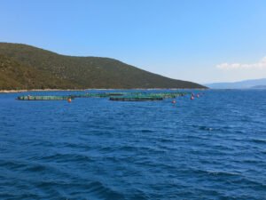 Mante Fish Farms