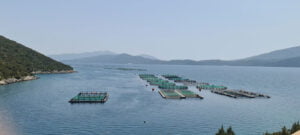 Mante Fish Farms