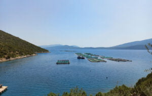 Mante Fish Farms