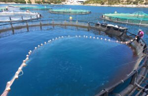 Mante Fish Farms